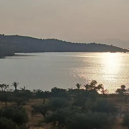 Pale Orb アパート